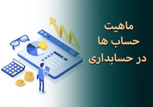 ماهیت حسابها در حسابداری