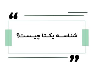 شناسه یکتا