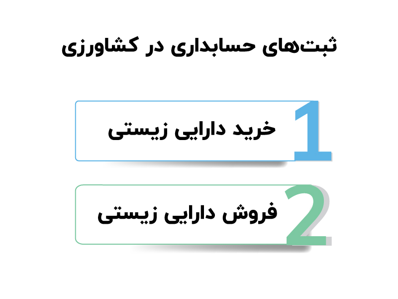 استاندارد حسابداری شماره ۲۶ (فعالیت های کشاورزی)
