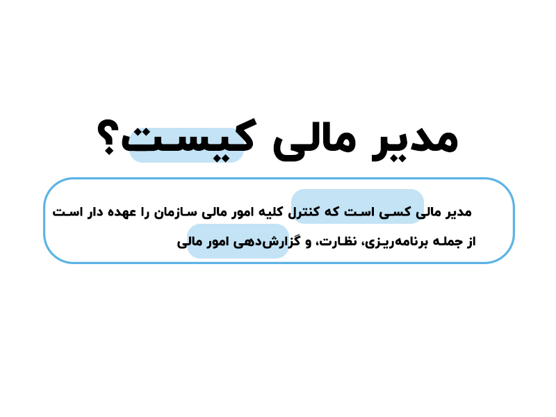 مدیر مالی کیست